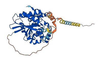 XXYLT1 3D structure