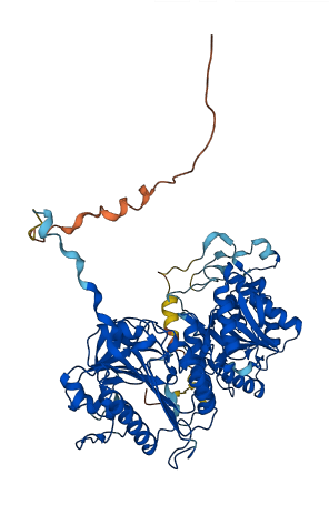 COLGALT1 3D structure