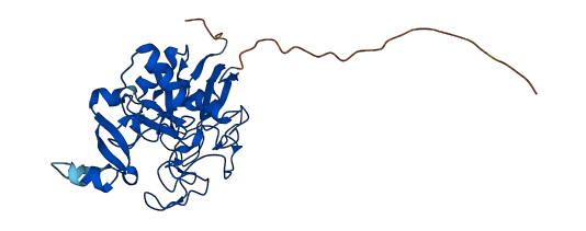 SUMF2 3D structure