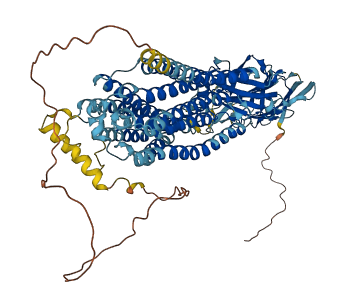 SIDT2 3D structure