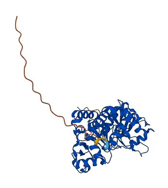 POGLUT1 3D structure