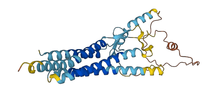 TMEM178A 3D structure