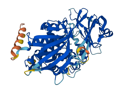 PCYOX1L 3D structure