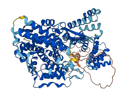 TTC13 3D structure