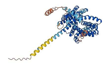 MFSD9 3D structure