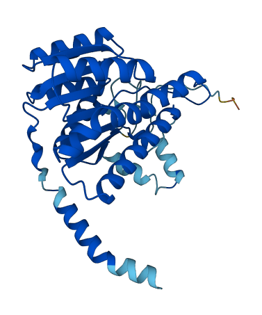 HSD17B11 3D structure