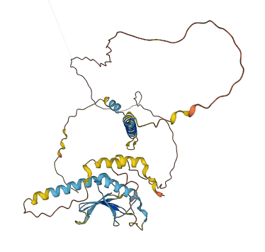 TP53I13 3D structure