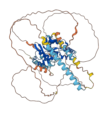 MINDY2 3D structure