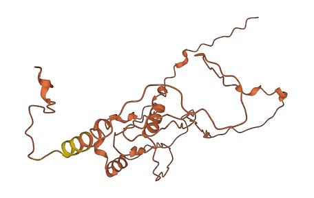 C11orf72 3D structure