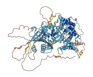 SLC4A11 3D structure