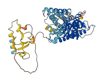 SLC38A9 3D structure
