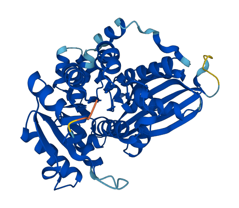 SCCPDH 3D structure