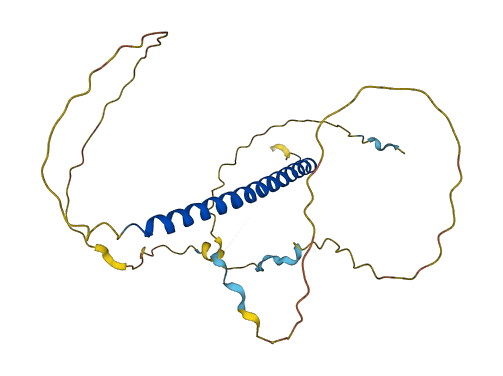 INO80E 3D structure