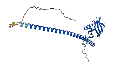CLEC1A 3D structure