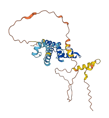 ACBD4 3D structure
