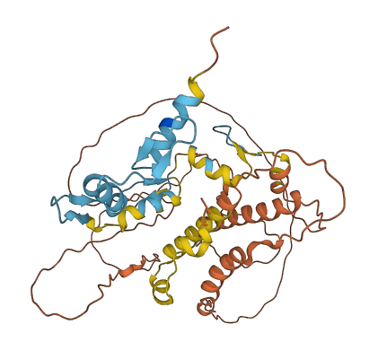 ZNF114 3D structure