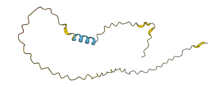 ZNF436-AS1 3D structure