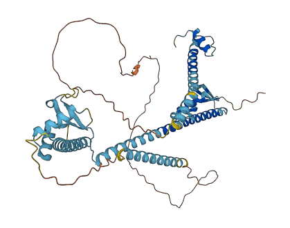 LEMD2 3D structure