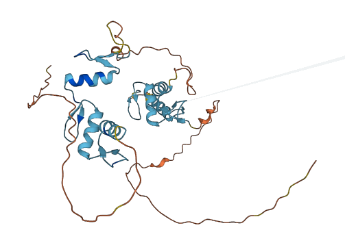 ZNF784 3D structure
