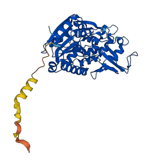 PLA2G15 3D structure