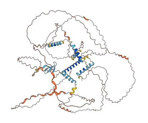 HJURP 3D structure