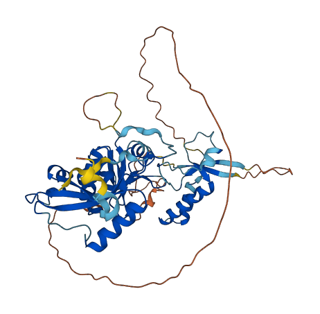 TSEN2 3D structure
