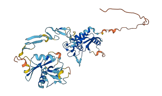 CLEC18C 3D structure