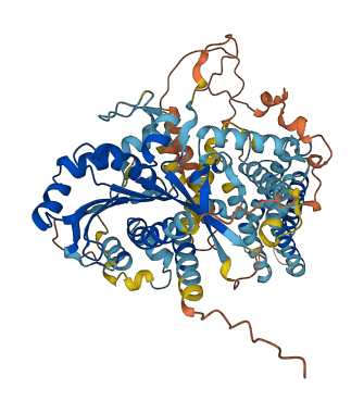 DAGLB 3D structure