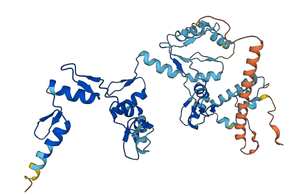 ZNF485 3D structure