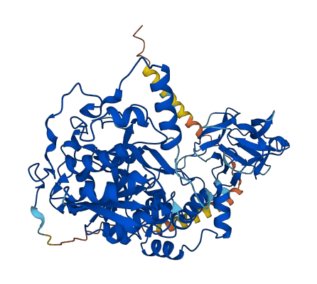 GALNT6 3D structure