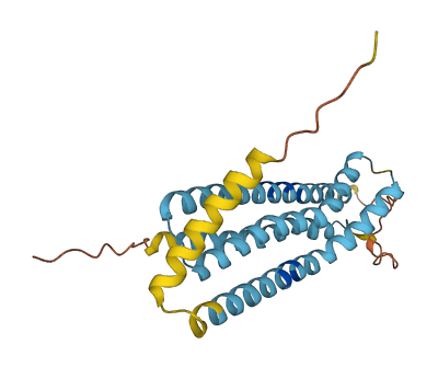 TMEM116 3D structure