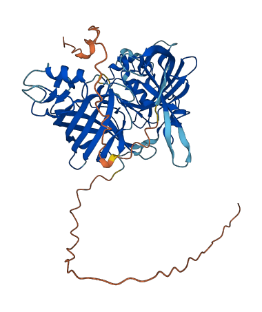 APCDD1L 3D structure