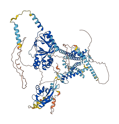 KCNH5 3D structure