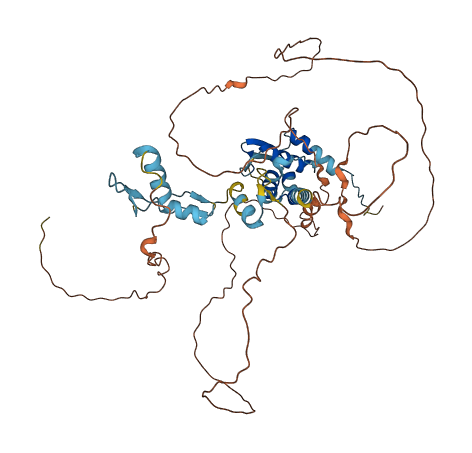ZBTB34 3D structure