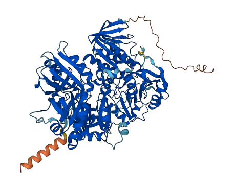 PDPR 3D structure