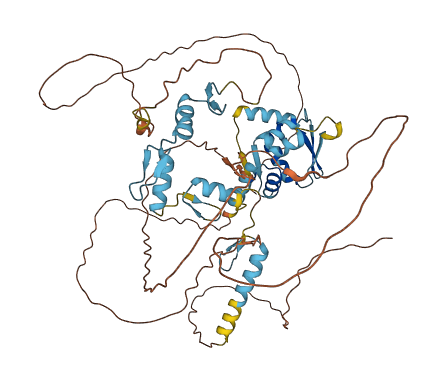ZBTB44 3D structure