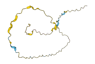 CSNK1G2-AS1 3D structure