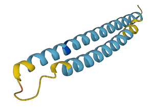 LINC00301 3D structure