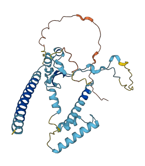 C11orf65 3D structure