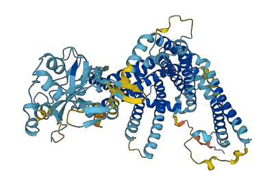 SLC44A5 3D structure