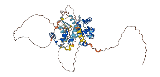 KIAA0895 3D structure