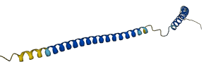 CCDC197 3D structure