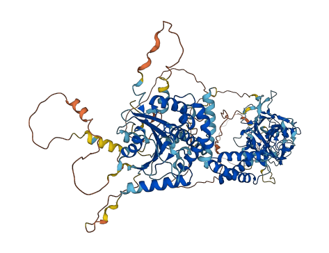 SMG8 3D structure