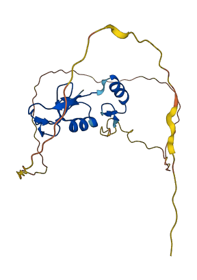 ZNRF1 3D structure