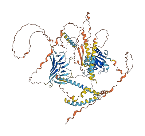 C3orf20 3D structure
