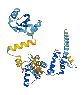 PNMA1 3D structure