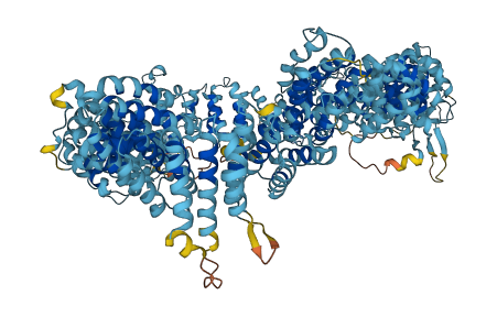 MROH1 3D structure