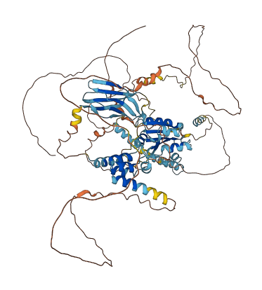 BANK1 3D structure