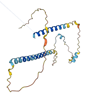 FAM156A 3D structure