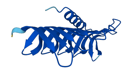 MORN4 3D structure